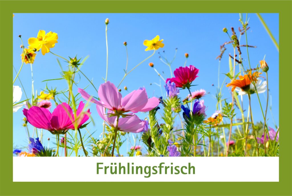 Endlich Frühling
